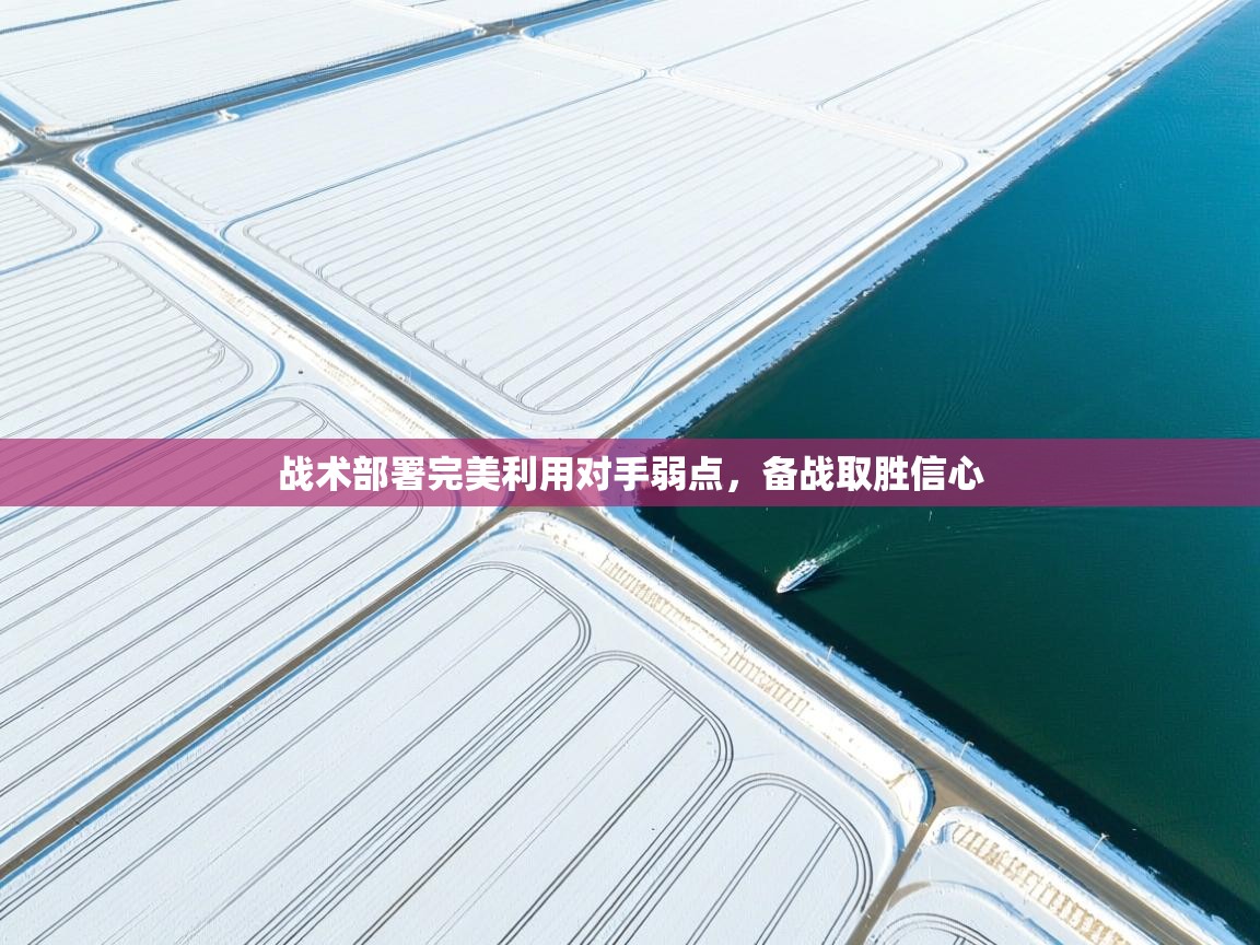 战术部署完美利用对手弱点，备战取胜信心