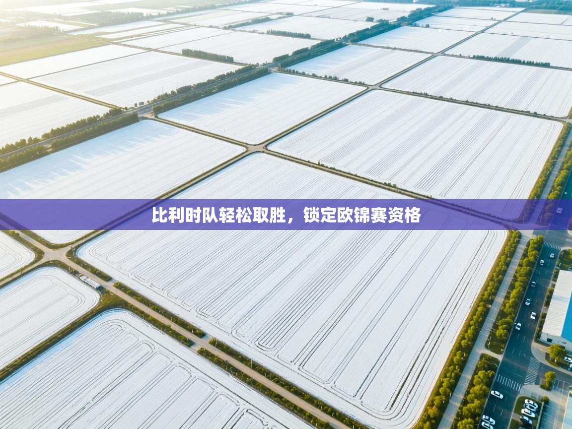 比利时队轻松取胜,锁定欧锦赛资格 第1张