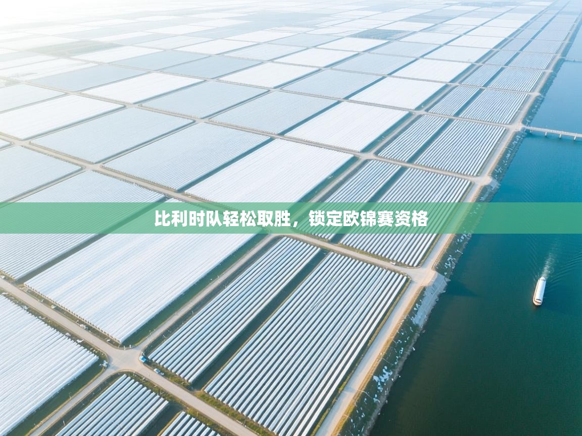 比利时队轻松取胜,锁定欧锦赛资格 第2张