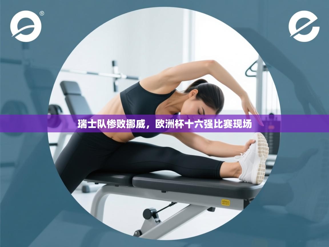 瑞士队惨败挪威,欧洲杯十六强比赛现场 第2张