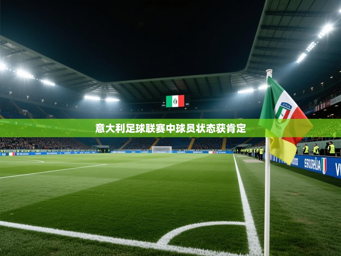 意大利足球联赛中球员状态获肯定  第1张