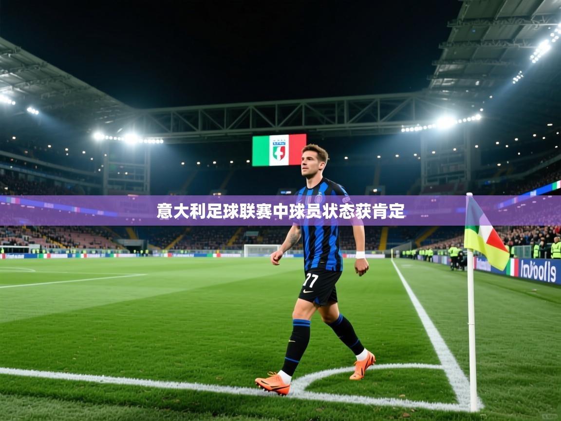 意大利足球联赛中球员状态获肯定  第2张