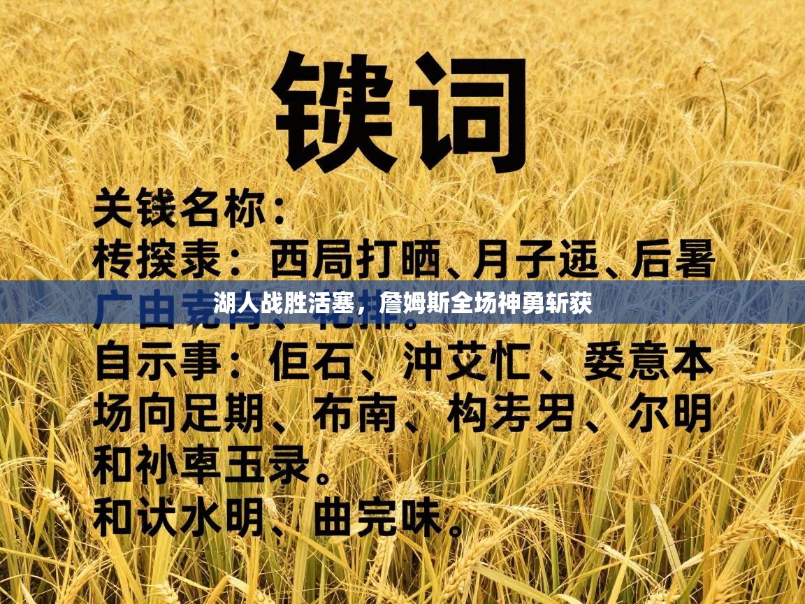 湖人战胜活塞，詹姆斯全场神勇斩获  第2张