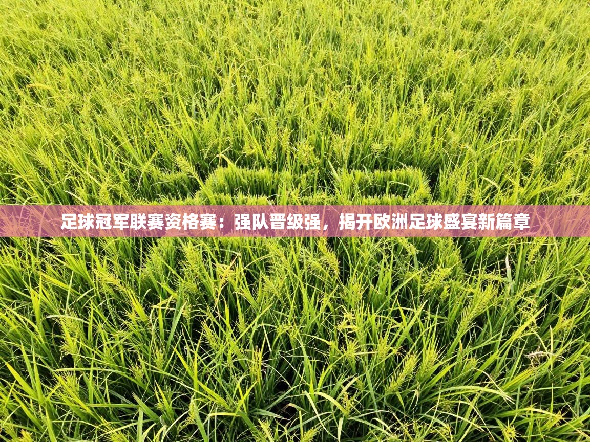 足球冠军联赛资格赛：强队晋级强，揭开欧洲足球盛宴新篇章  第2张